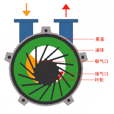 水環真空泵的工作原理圖
